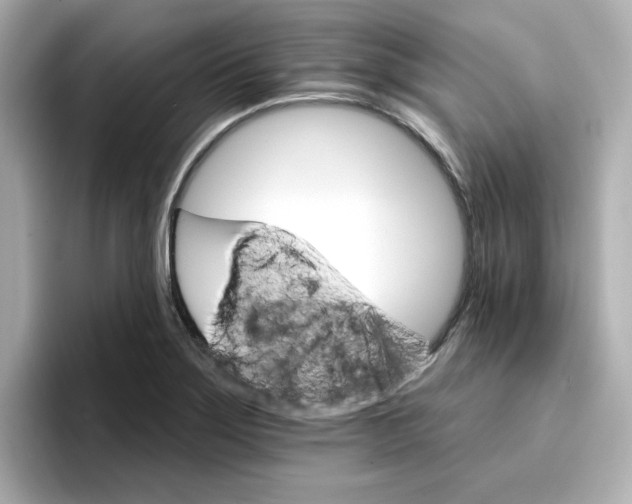 X0000096661275200802261334