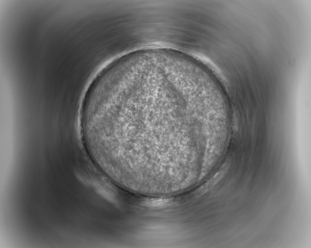 X0000096661278200802261334