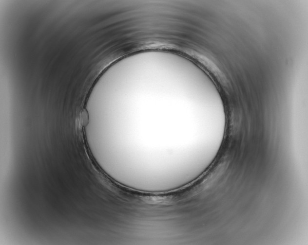 X0000096661281200802261334