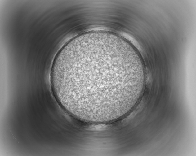 X0000096661282200802261334