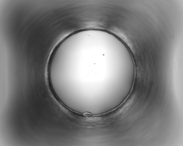 X0000096661285200802261334