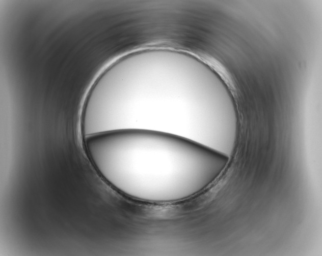 X0000096661288200802261334