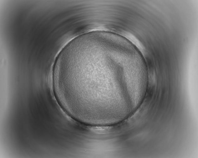 X0000096661290200802261334