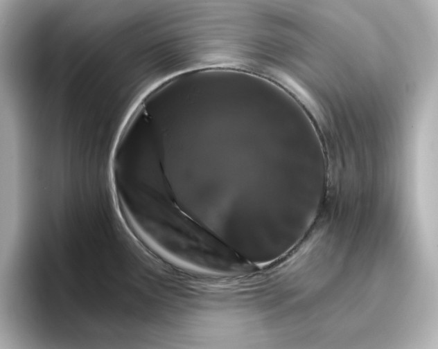 X0000096661291200802261334