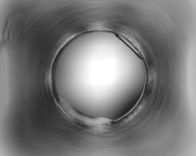 X0000096661293200802261334