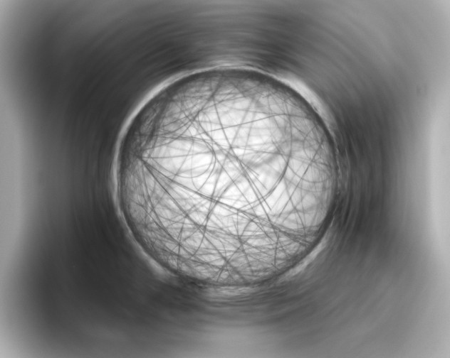 X0000096661294200802261334