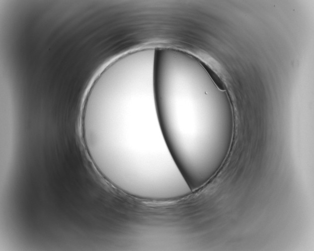 X0000096661296200802261334