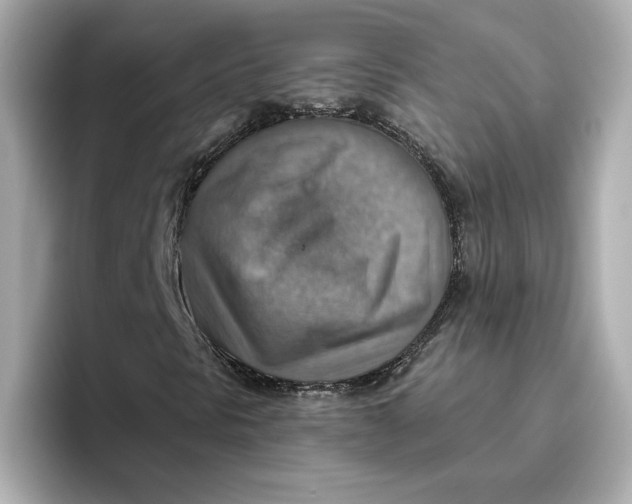 X0000096661297200802261334