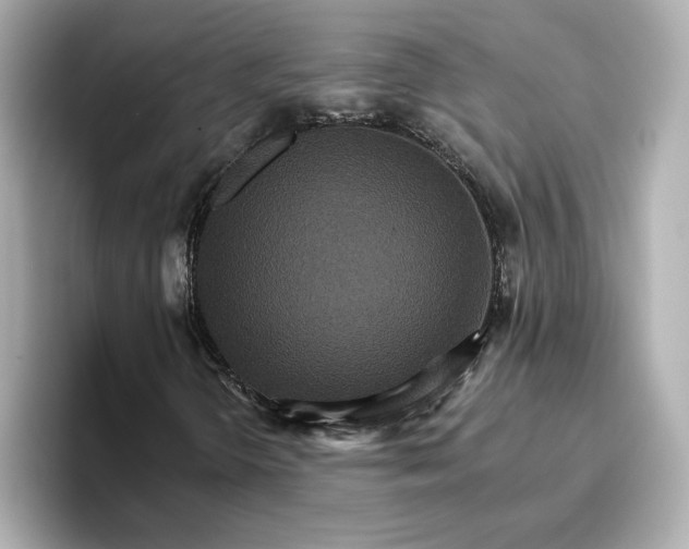 X0000096661298200802261334