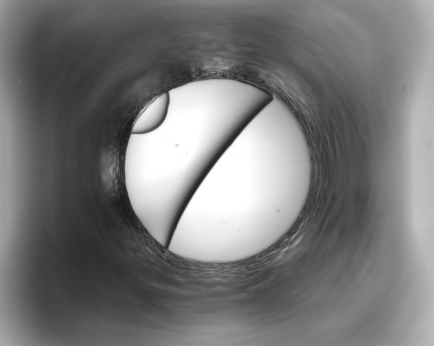 X0000096661299200802261334