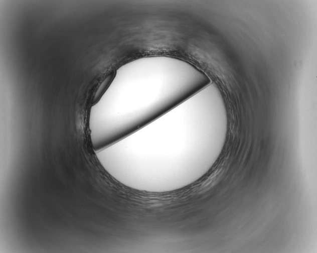 X0000096661300200802261334