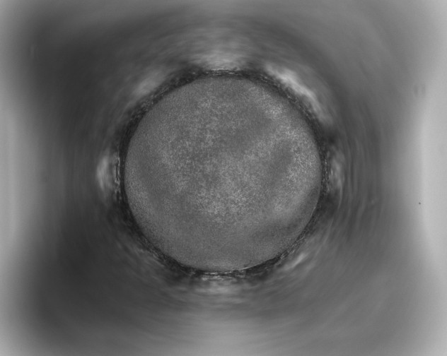 X0000096661301200802261334