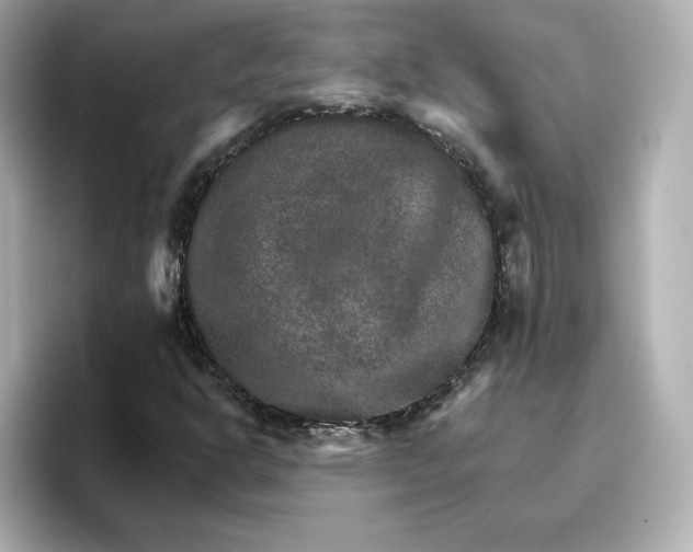 X0000096661302200802261334