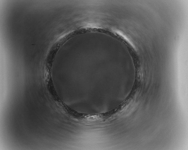 X0000096661303200802261334