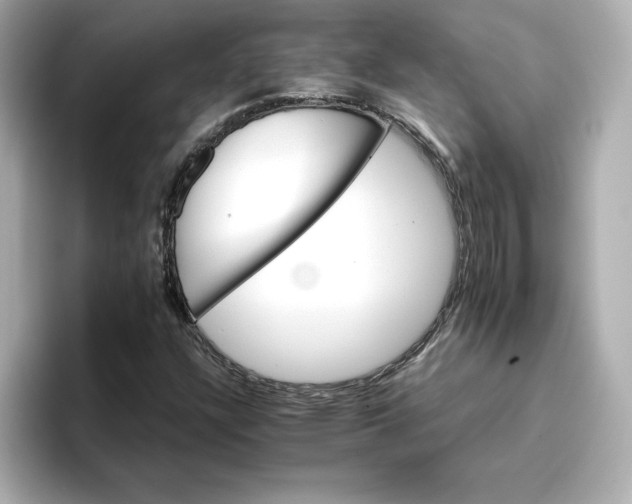 X0000096661304200802261334