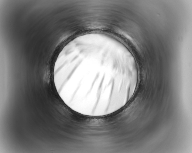 X0000096661306200802261334