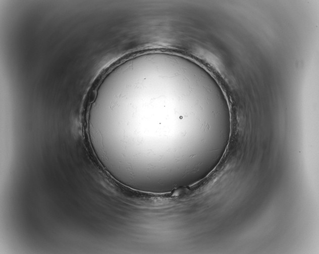 X0000096661308200802261334