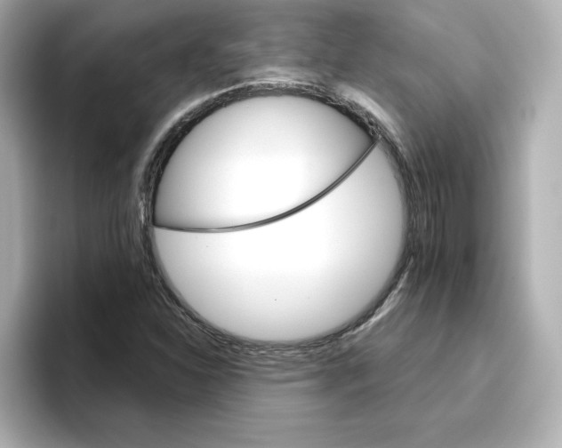 X0000096661310200802261334