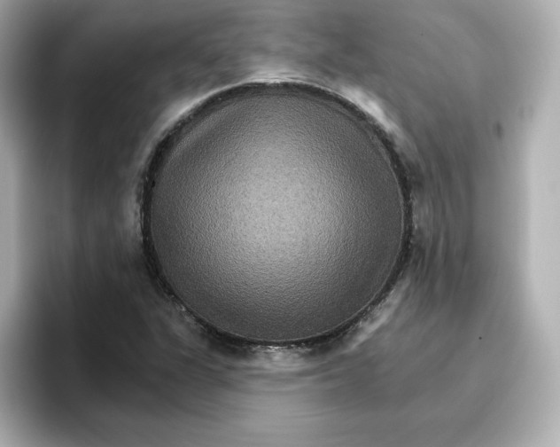 X0000096661311200802261334