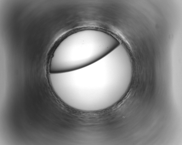 X0000096661312200802261334