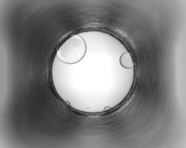 X0000096661313200802261334