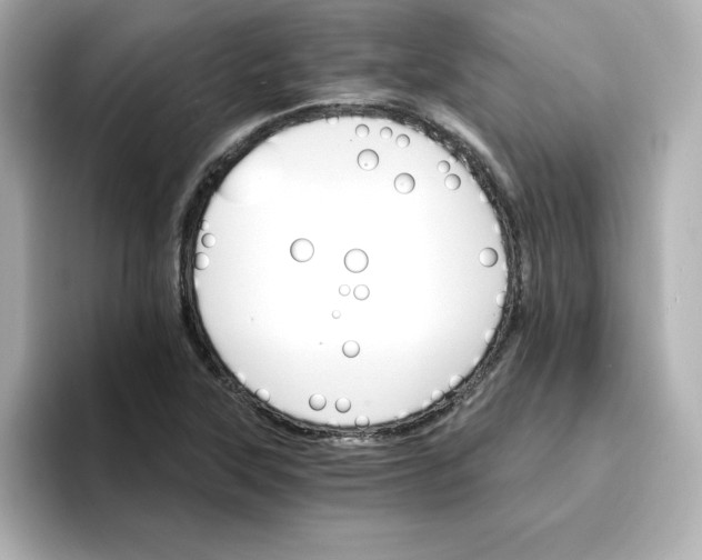 X0000096661315200802261334