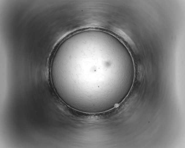 X0000096661316200802261334