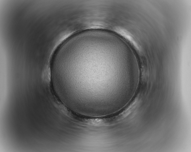 X0000096661317200802261334