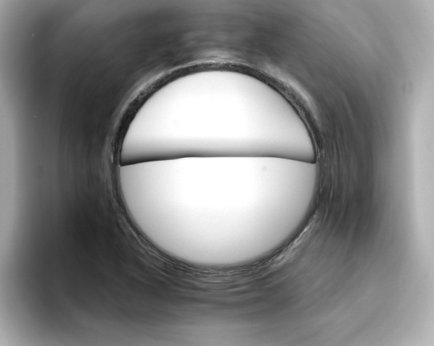 X0000096661318200802261334