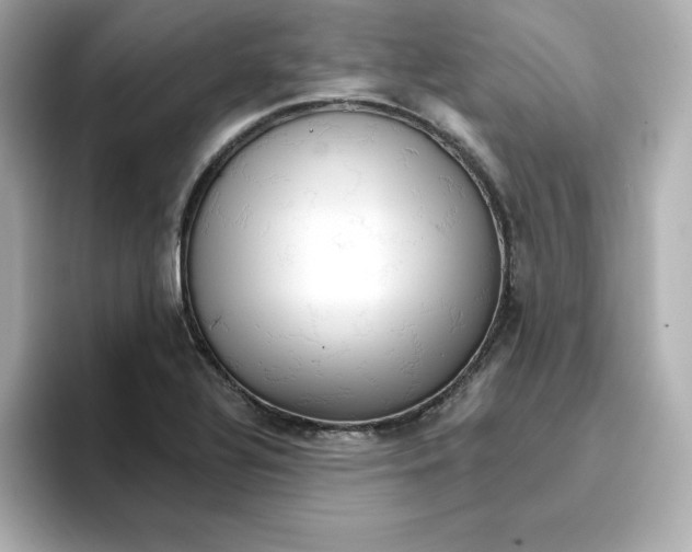 X0000096661320200802261334