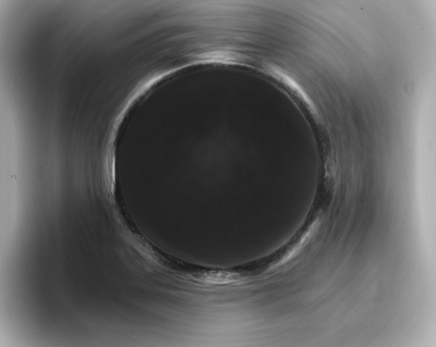 X0000096661323200802261334