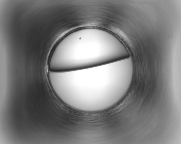 X0000096661324200802261334