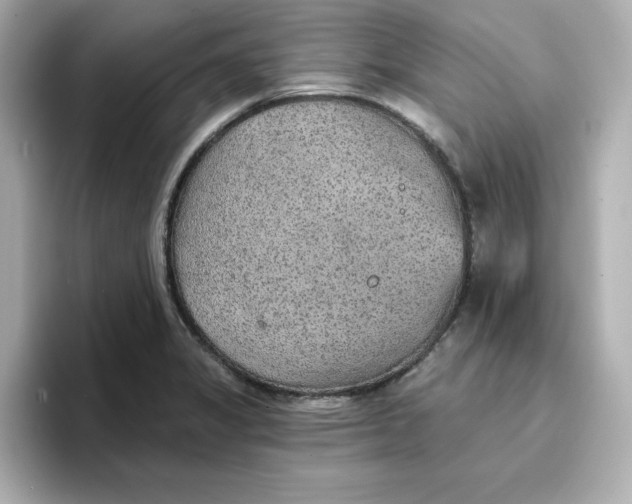 X0000096661325200802261334