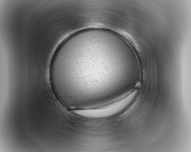 X0000096661326200802261334