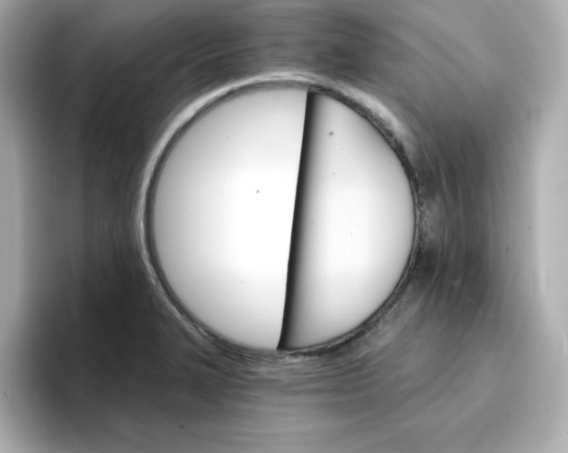 X0000096661327200802261334