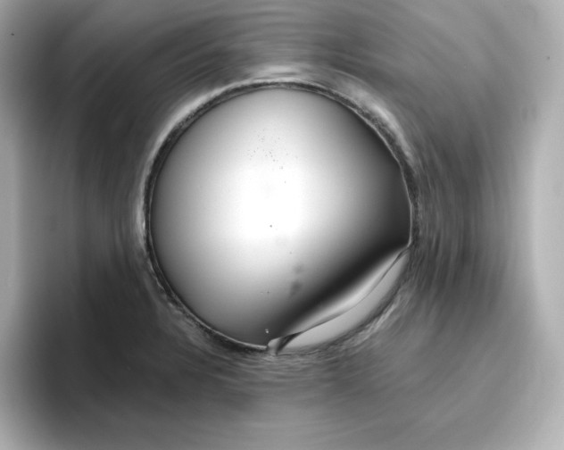 X0000096661328200802261334