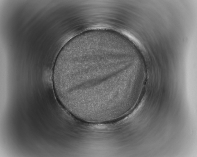 X0000096661329200802261334