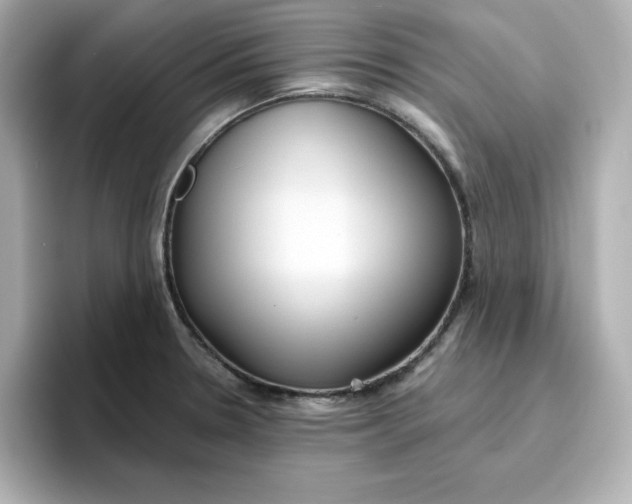 X0000096661330200802261334