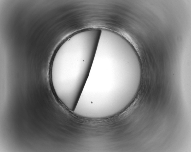 X0000096661331200802261334