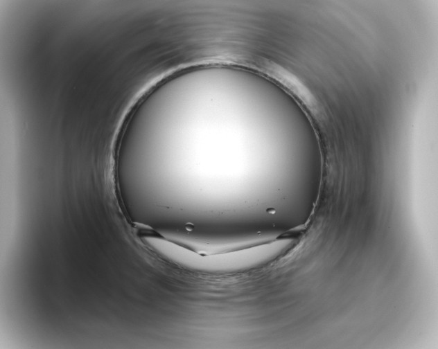 X0000096661332200802261334