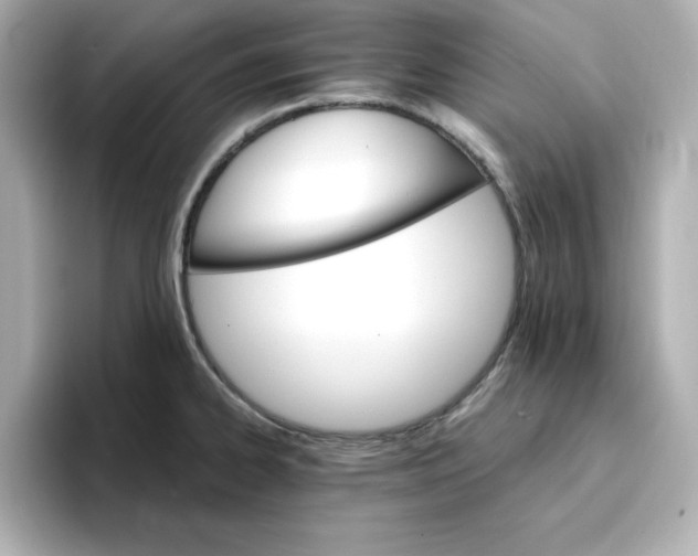 X0000096661334200802261334