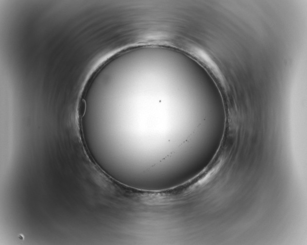 X0000096661336200802261334