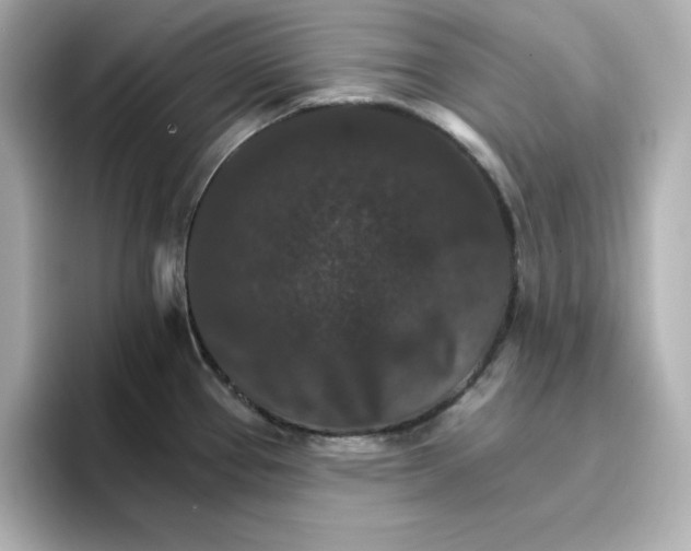 X0000096661337200802261334