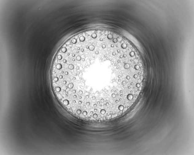 X0000096661338200802261334