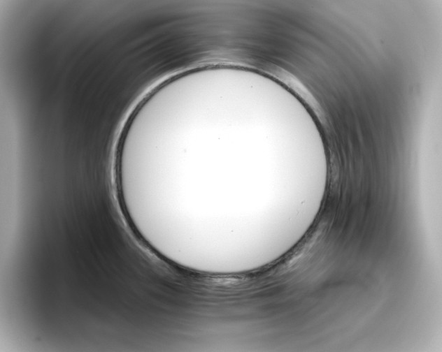 X0000096661339200802261334