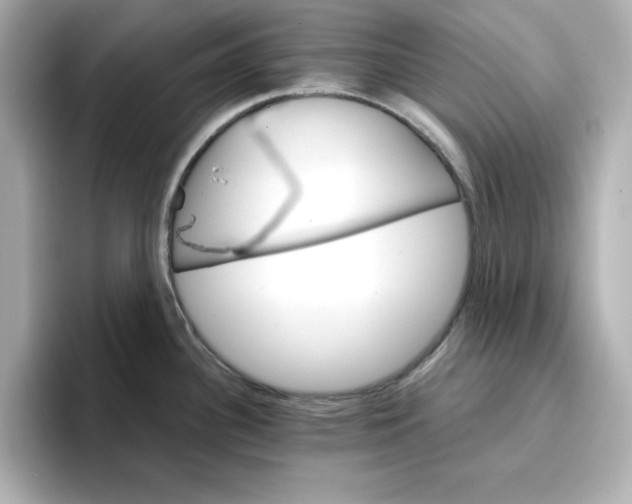 X0000096661340200802261334