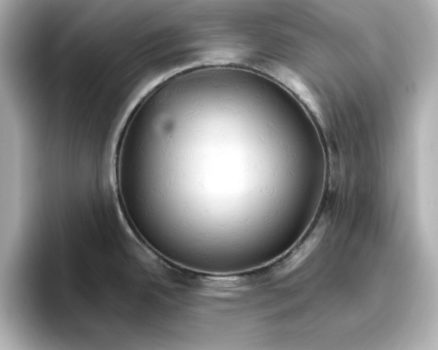 X0000096661342200802261334