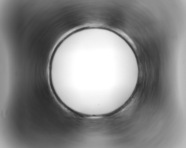 X0000096661343200802261334