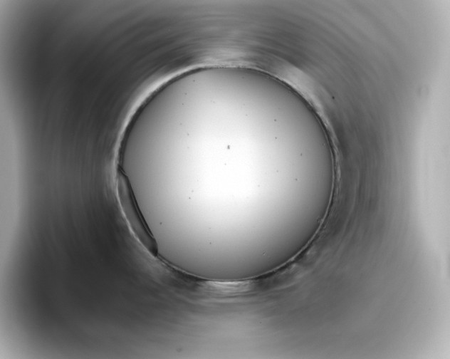 X0000096661344200802261334