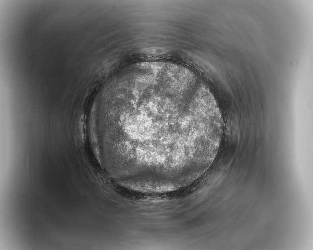 X0000096661346200802261333